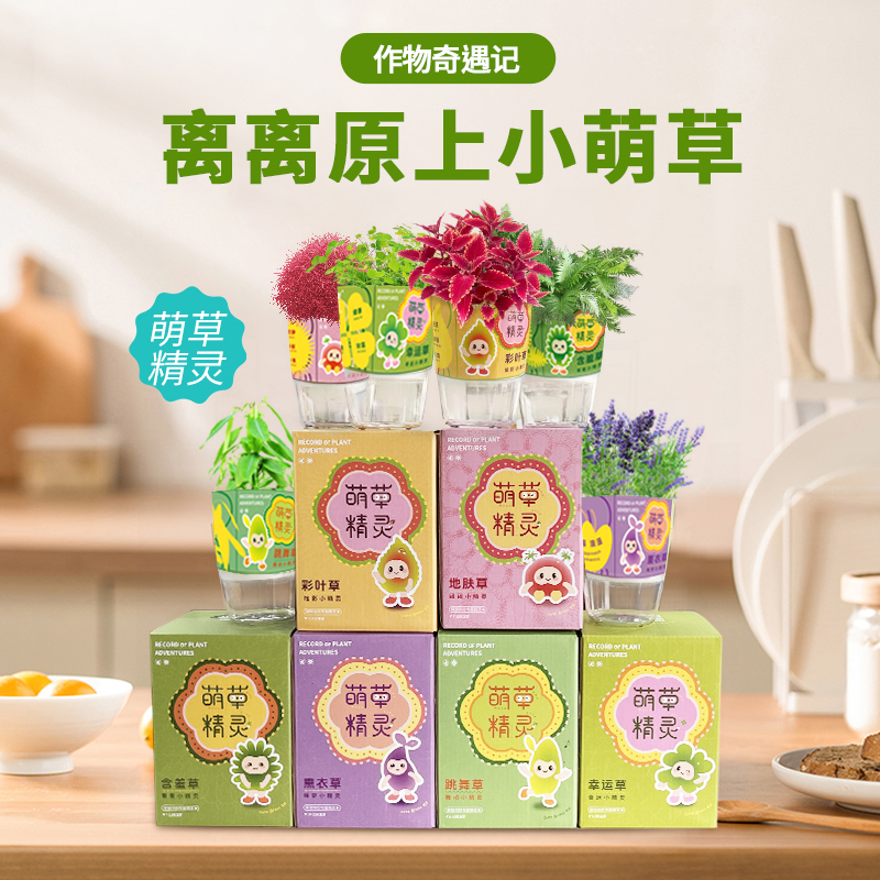 作物奇遇记萌草精灵绿植盆栽幸运草四叶草含羞草桌面创意种植礼物