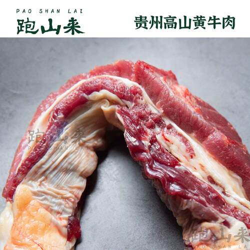 跑山来贵州黄牛肉牛腩500g 现杀整切鲜切牛五花炖牛腩崩沙腩爽腩