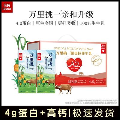 【清仓】乐纯万里挑一水牛奶200ml*12盒4.0蛋白高钙纯牛奶8月31产