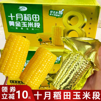 十月稻田玉米段黄金8cm玉米段8厘米黄糯苞米开 袋即食八厘米糯玉