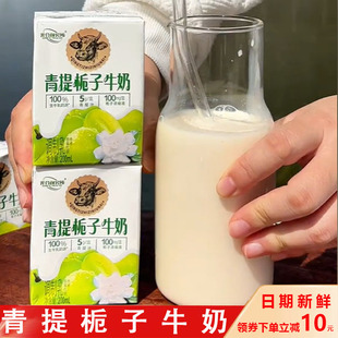 青提栀子牛奶光合研究所光合颜究所礼盒超市同款清爽奶香味200ml