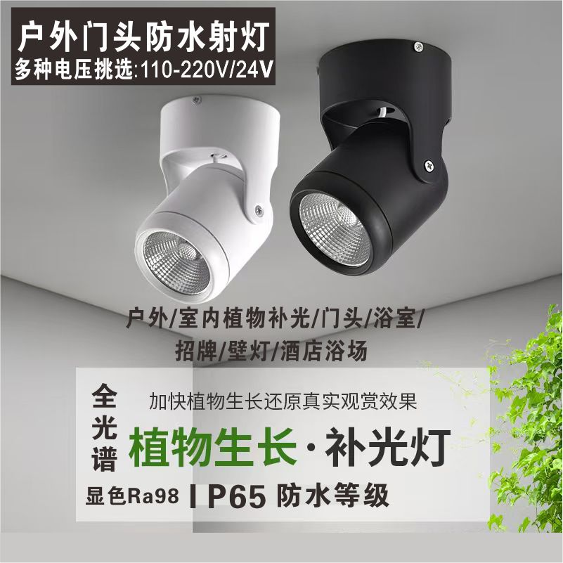 IP65户外防水门头招牌射灯可调角度室外店铺广告牌匾明装吸顶筒灯