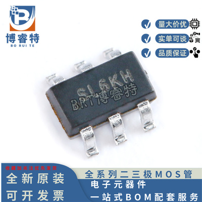 SGM3204YN6G/TR电荷泵DC/DC转换