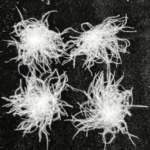 散装 羽绒一两95大白朵白鹅白鸭绒原料羽绒服羽绒被原料填充物羽绒