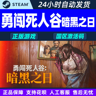 正版 Steam PC游戲 CDKEY 國區(qū)激活碼 勇闖死人谷 暗黑之日