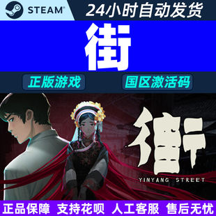 YinYang 街 Street 国区激活码 现货秒发 steam CDKey PC正版