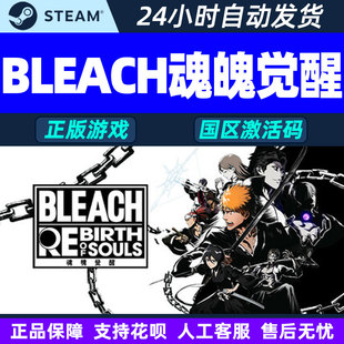 Steam BLEACH死神魂魄觉醒BLEACH Rebirth of Souls国区激活码CDK