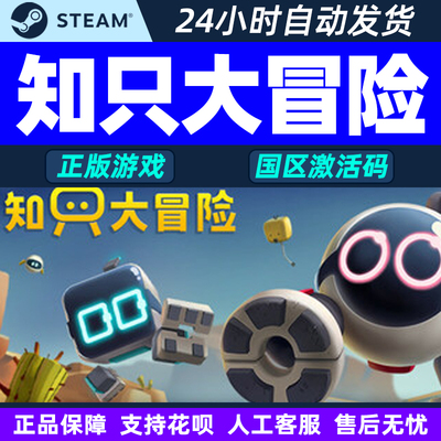 Steam知只大冒险国区正版CDK