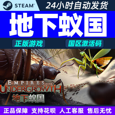 Steam游戏地下蚁国 Empires of the Undergrowth 国区激活码CDKey