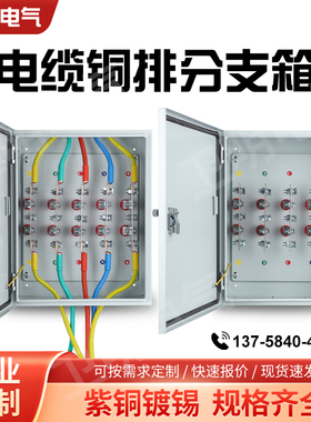 矿物质电缆T接箱低压楼层分支箱接线端子分接箱BTTZ绝缘转换箱