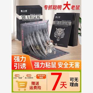 粘鼠板强力胶粘鼠超强老鼠贴家用抓杀大老鼠板灭鼠捕鼠仓库厨房