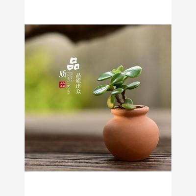 五色土陶罐老式盆粗花盆