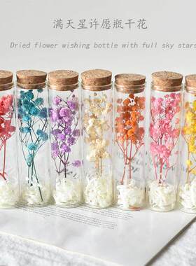 满天星试管干花迷你小花