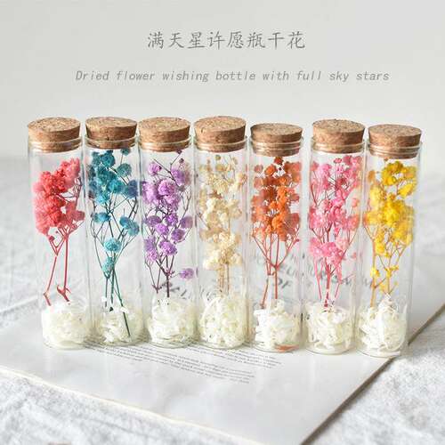 满天星试管干花迷你小花