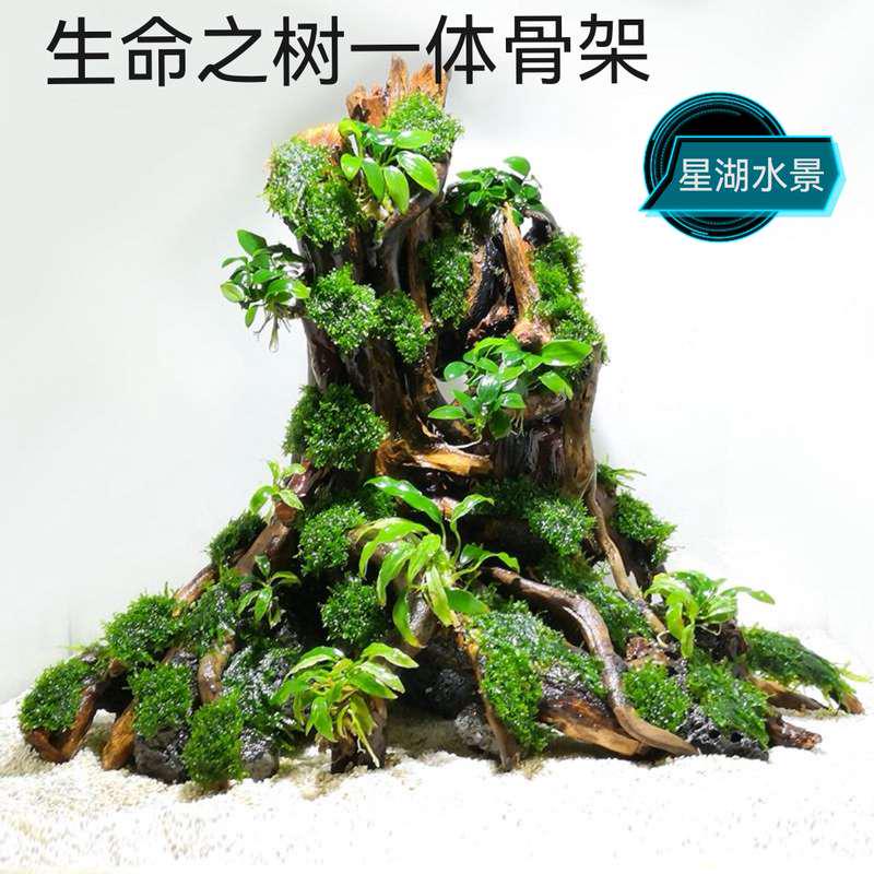 生命之树沉木树桩拼接骨架新手入门级别阴性水草造景鱼缸懒人景