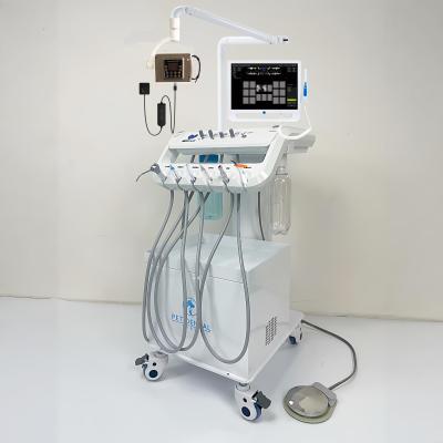 2026新款宠物牙科工作台动物洁牙机牙科治疗机牙齿洗牙机口腔涡轮