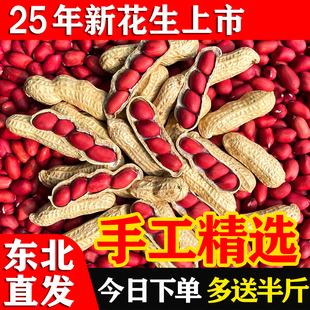 东北红皮花生25年农家新鲜带壳生熟四粒红花生米自种晒干炒货原味