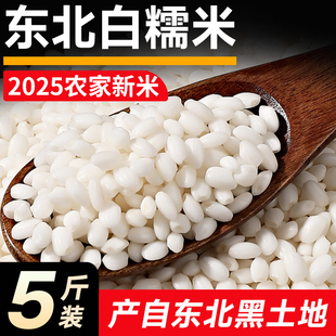 白糯米25年东北农家自产新鲜米食用包粽子酿酒专用圆粒白江米