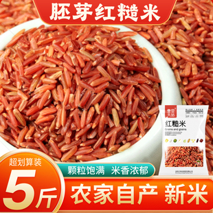 胚芽红糙米25年农家新货粳稻米红米五谷杂粮主食代餐粗粮粥米饭