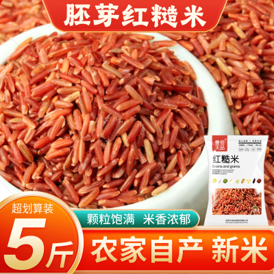 胚芽红糙米25年农家新货低脂粗粮
