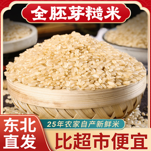 东北胚芽糙米25年农家新米粗粮低脂主食五谷杂粮