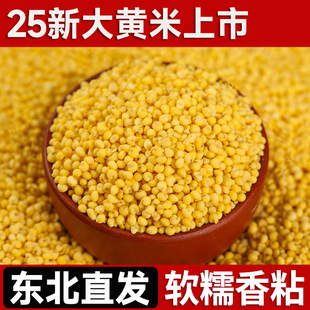 东北大黄米25年农家新米正宗糯小米黍米粘米饭黄米包粽子软米杂粮