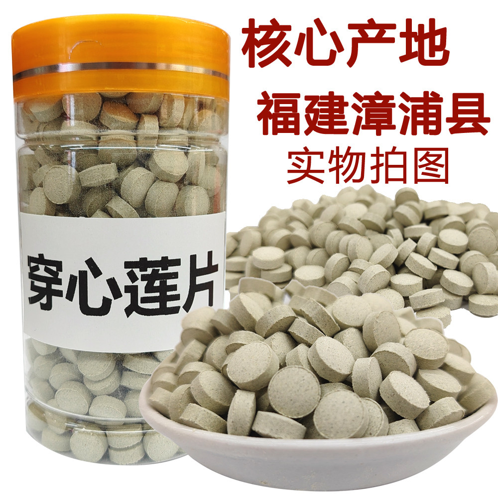 穿心莲压片新货正宗福建穿心莲一见喜穿心莲叶榄核莲苦胆草苦草