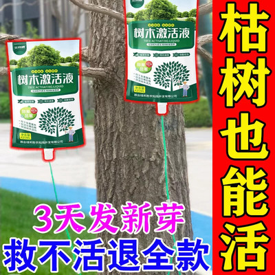 大树营养液吊针袋果树移栽树木激活液桂花树强力生根药水枯树再生