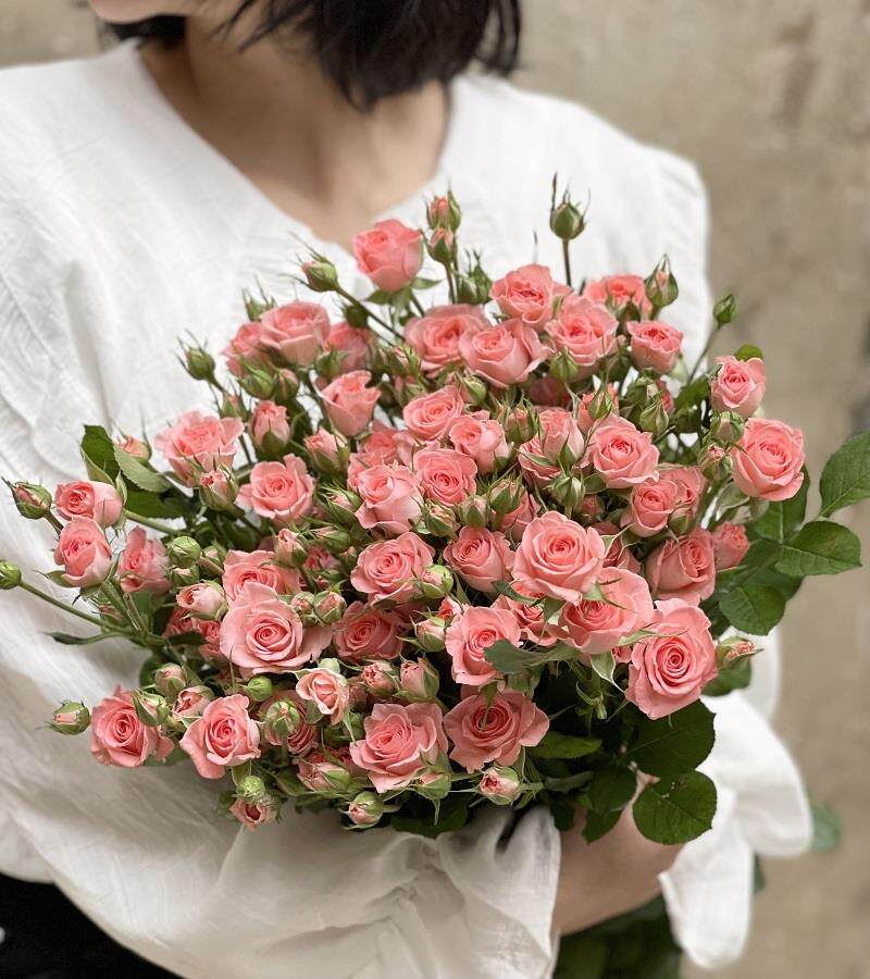 新鲜玫瑰多头玫瑰小玫瑰多头泡泡玫瑰a级高雅爱人宝贝爱人泡泡