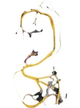 莫仕MOLEX/ 0443000600优势热卖 进口原装连接器 旺旺询价更优惠