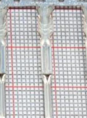 住友连接器端子 8100-37081 优势热卖 原装连接器，旺旺询价