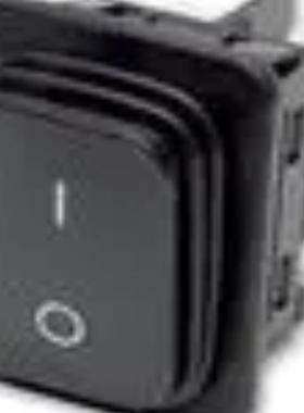 进口船形开关 H8601VBAAA原装优势热卖 旺旺询价