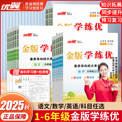 金版学练优练习册人教版