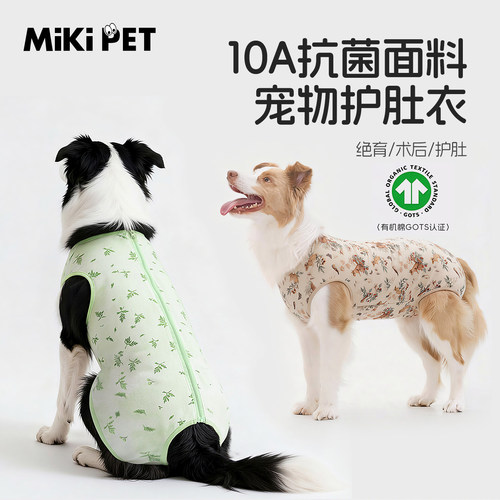 宠医推荐丨防着凉防舔公狗手术服
