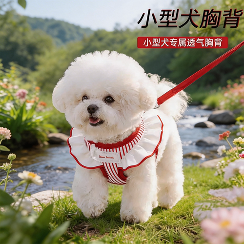 柔肤高颜值高品质胸背