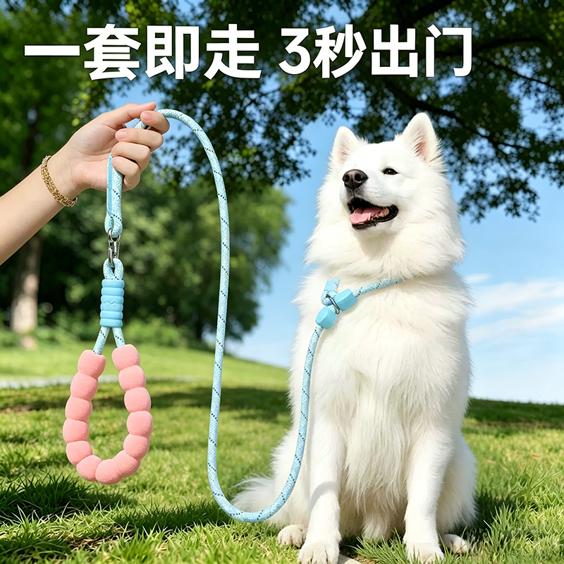 p绳p链狗狗牵引绳防爆冲防挣脱小中大型犬萨摩耶遛狗训狗绳子耐咬