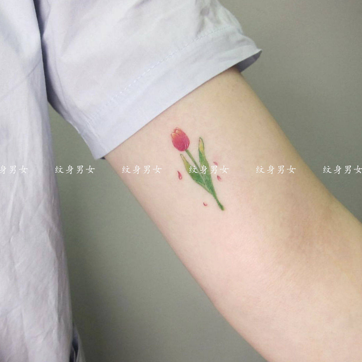 新款手绘 粉色郁金香 韩式清新手臂脚踝锁骨防水纹身贴