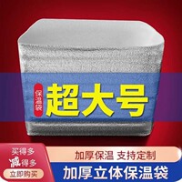 1号泡2号泡立体超大号保温袋生鲜水果外卖快递保温袋子防冻袋定制