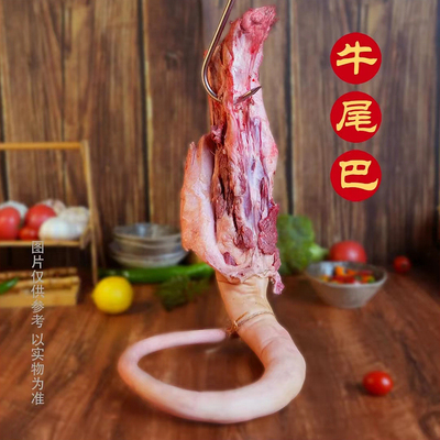 6斤新鲜现杀带皮牛尾巴整根牛尾骨整条散养黄牛尾生牛肉熬汤食材