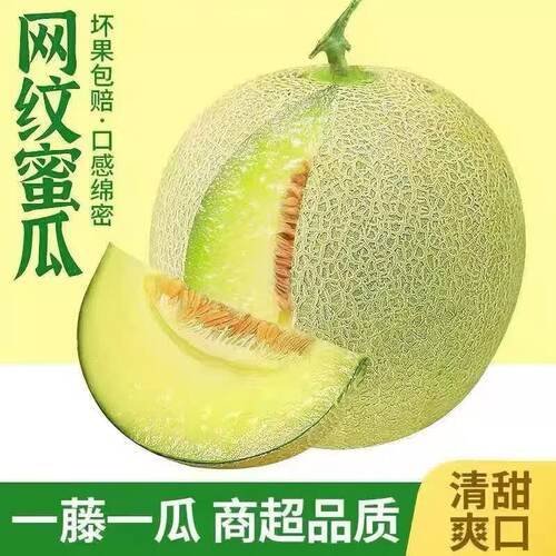 内蒙玲珑网纹蜜瓜现摘香甜礼盒