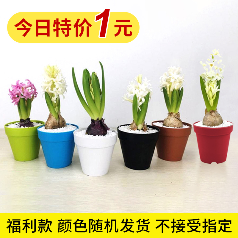 塑料花盆阳台简约圆形家用加厚花盆清仓绿植盆栽大花盆环保PP材质