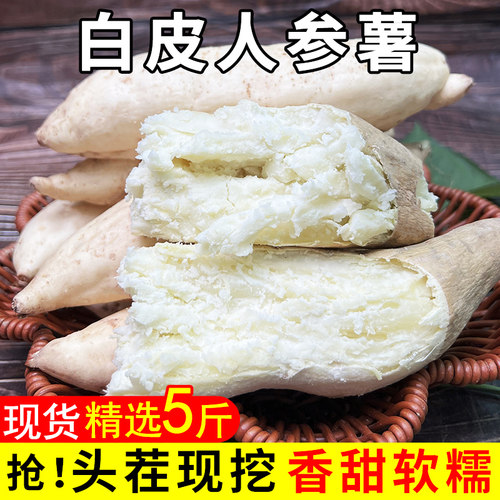 新鲜白皮人参薯5斤现挖现发