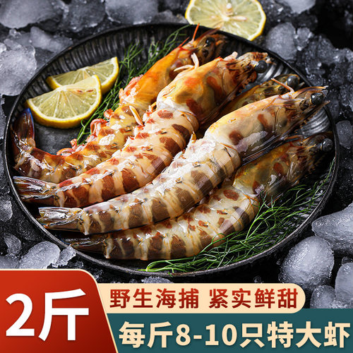真正野生海捕九节虾顺丰包邮