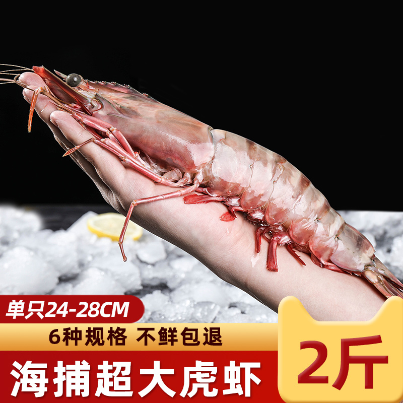 超大黑虎虾新鲜海捕特大号考虎虾