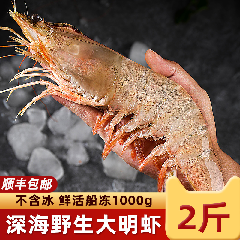 鲜活急冻海捕大虾特大明虾海鲜