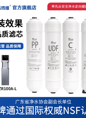 乐博维滤芯适用于海尔商用纯水机HLZR100A-L净水器滤芯颗粒炭RO膜