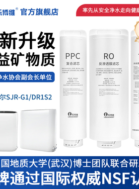 乐博维滤芯适配苏泊尔净水器滤芯SJR-G1/DR1S2RO膜PPC复合净水机