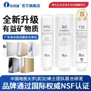 乐博维适配滨特尔净水器滤芯机U400-D31-11/V15-1/U6-08/V3000-A