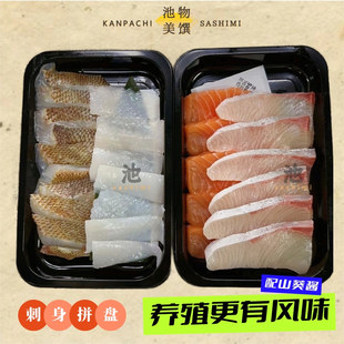 【四拼 刺身拼盘 章红金鲷法罗三文鱼】养殖刺身红甘鲷鱼冰鲜配送