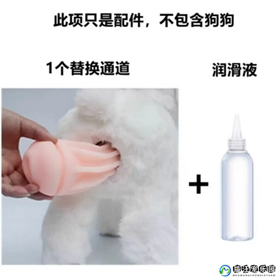 狗狗发情期玩具公狗交配